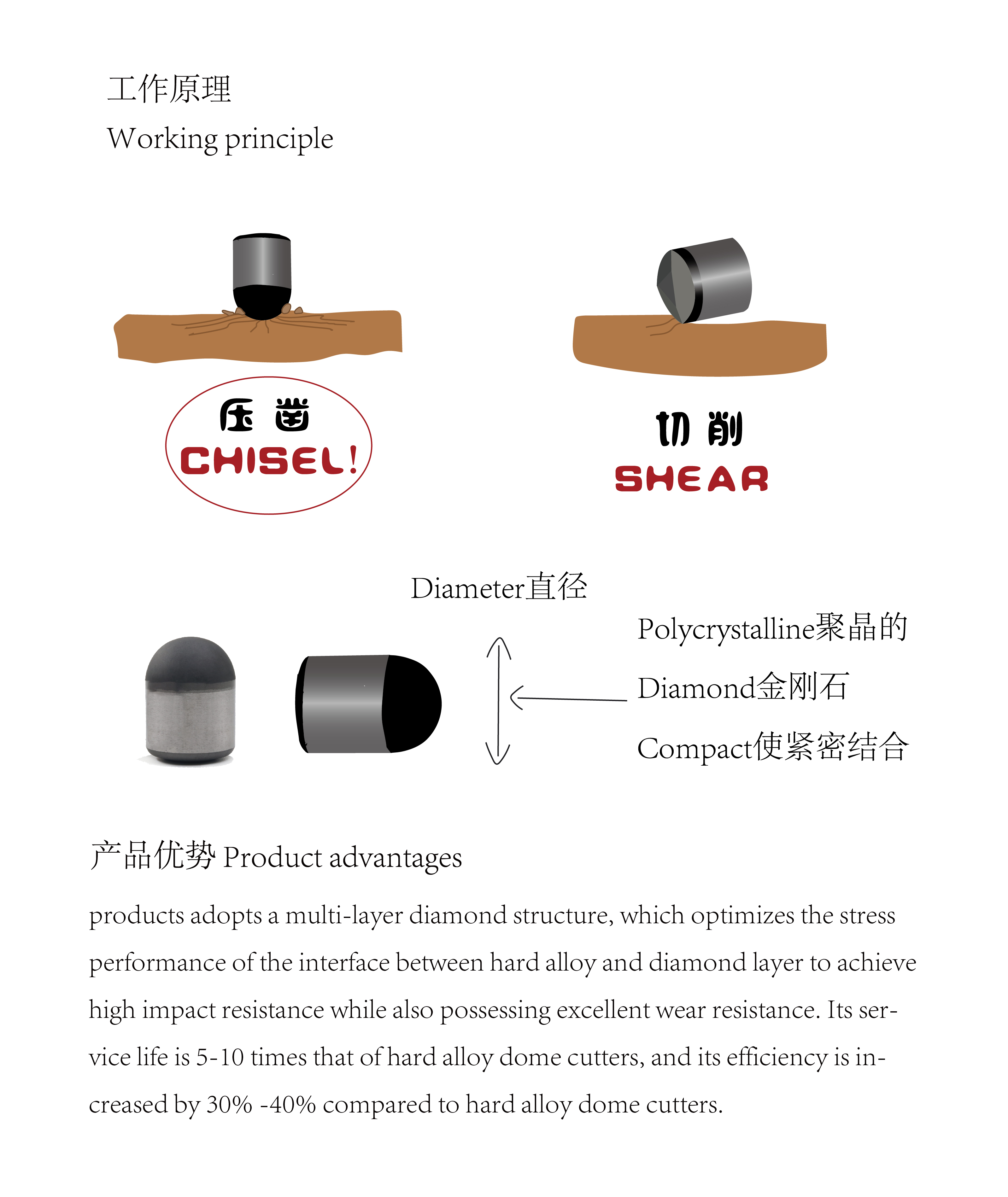 英文-02.jpg